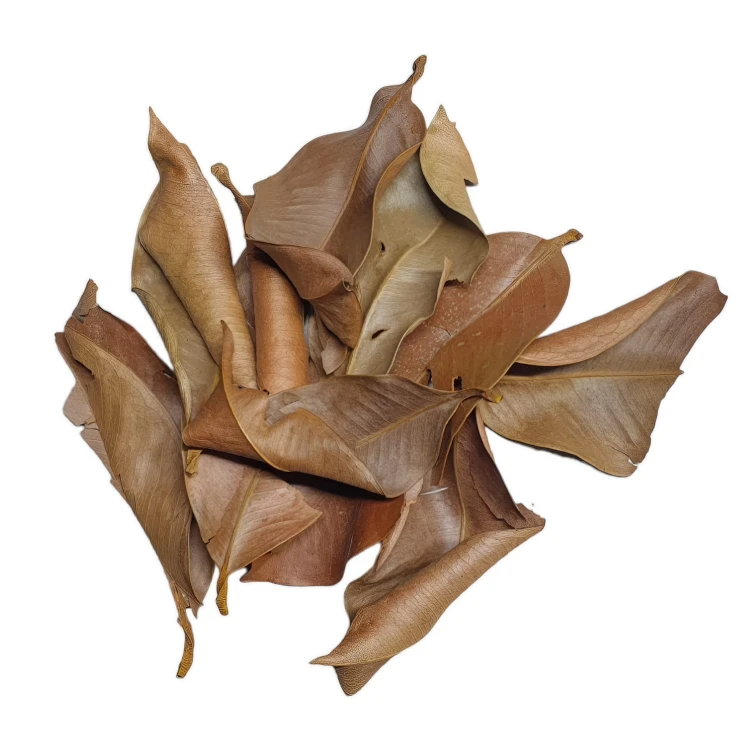 f13c67a431b4d2673dd9c88fc338ec9c