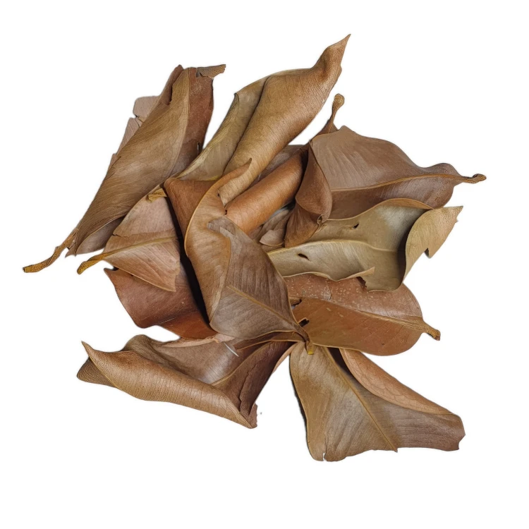 0bc6f5a3a273aaea90a113d581ec1c63