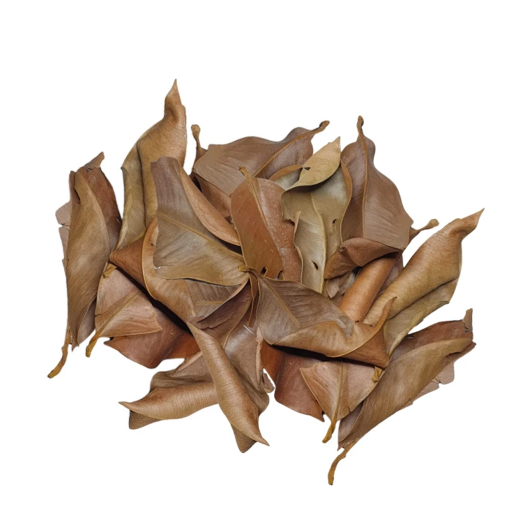 9e2c691de53e4b5797f360615ebddcbb