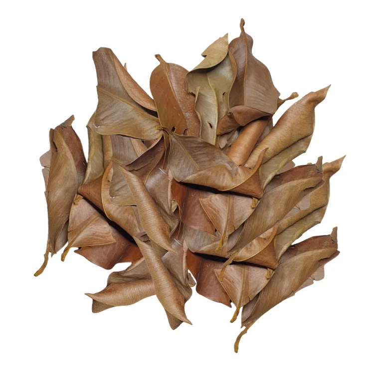 1d124076d92cf9c7cb066cc48ff690f0