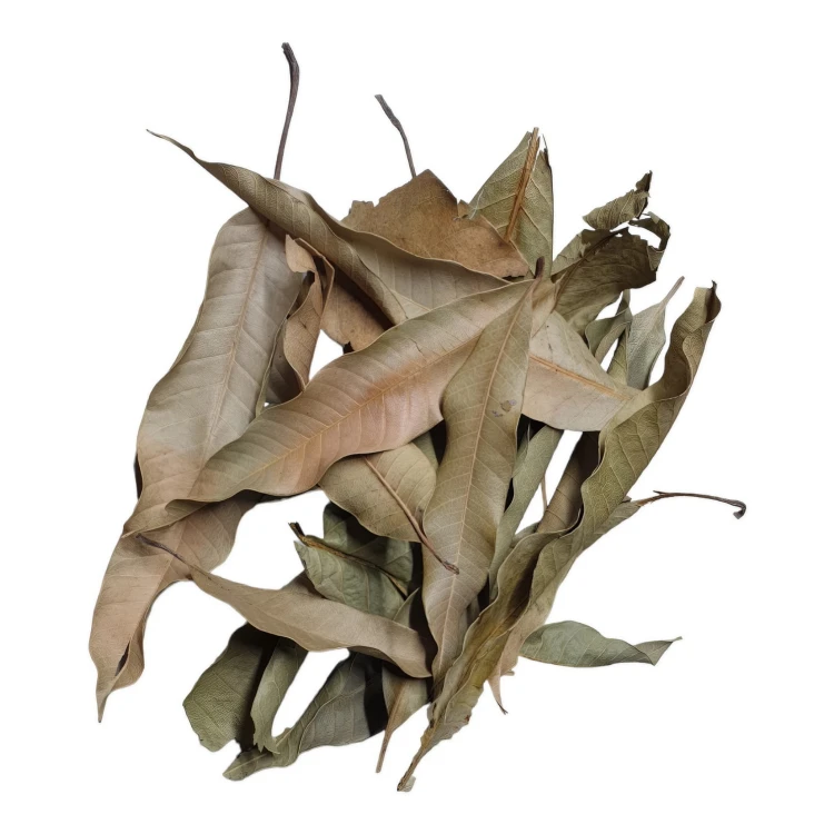 2c6f2bf791082e0bb2f3e440497c3288