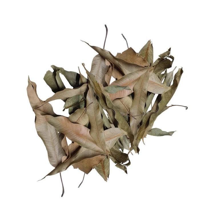 3439b7027d5db9df3194297b5598b5b3