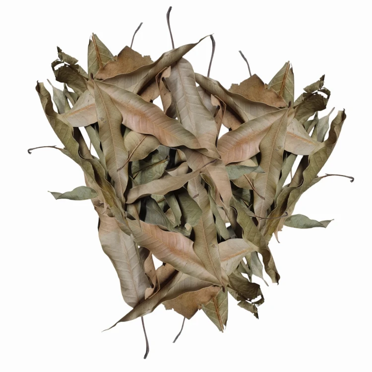 c8bf952e0a23bcf164b7f898aa413658