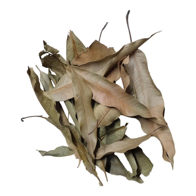 b8f26ff3ed98db60d995c66a6336cb16