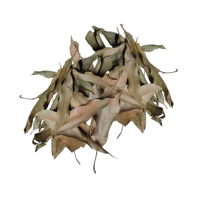 36d974b9731b9850c42b43b443cd71cc