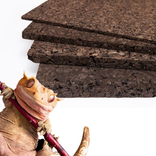 da71b61bd56fe8371af893f6fc20e7fa