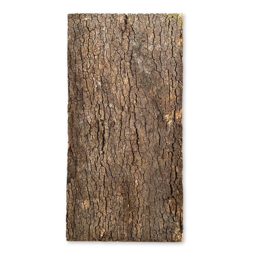 070b85602253d9b8c513a9d2895640c0