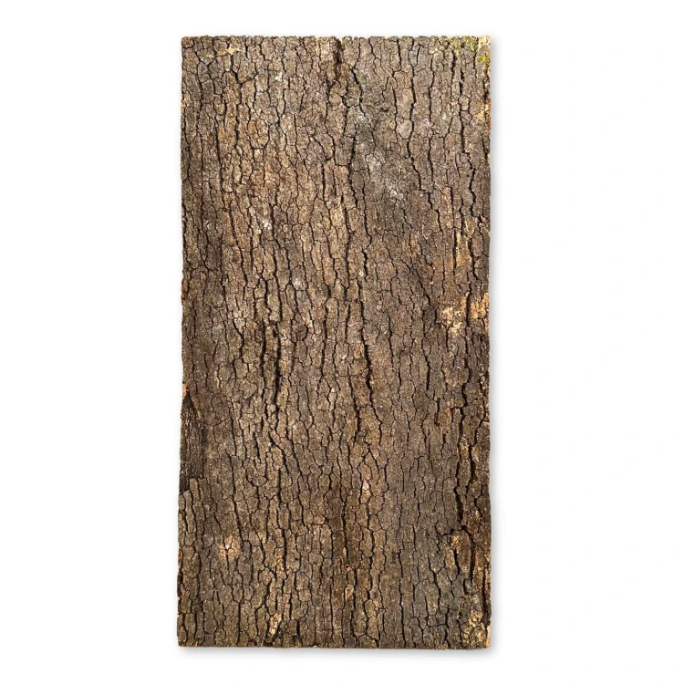 070b85602253d9b8c513a9d2895640c0