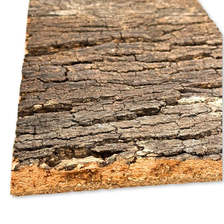 5b62ed7337c36d237b710fd930a4831c