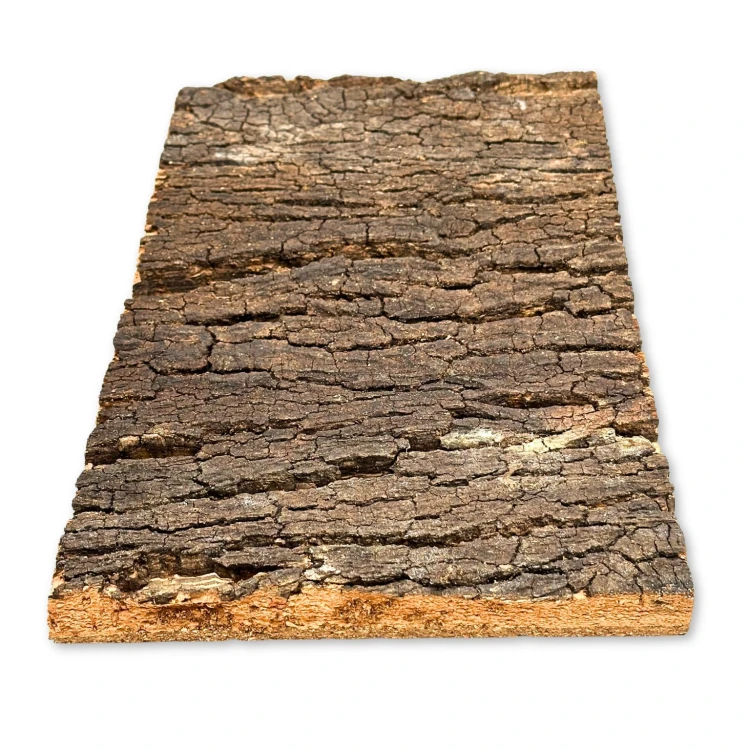 ba9bf2f4006fd6d97df0d0af4d4cf81d