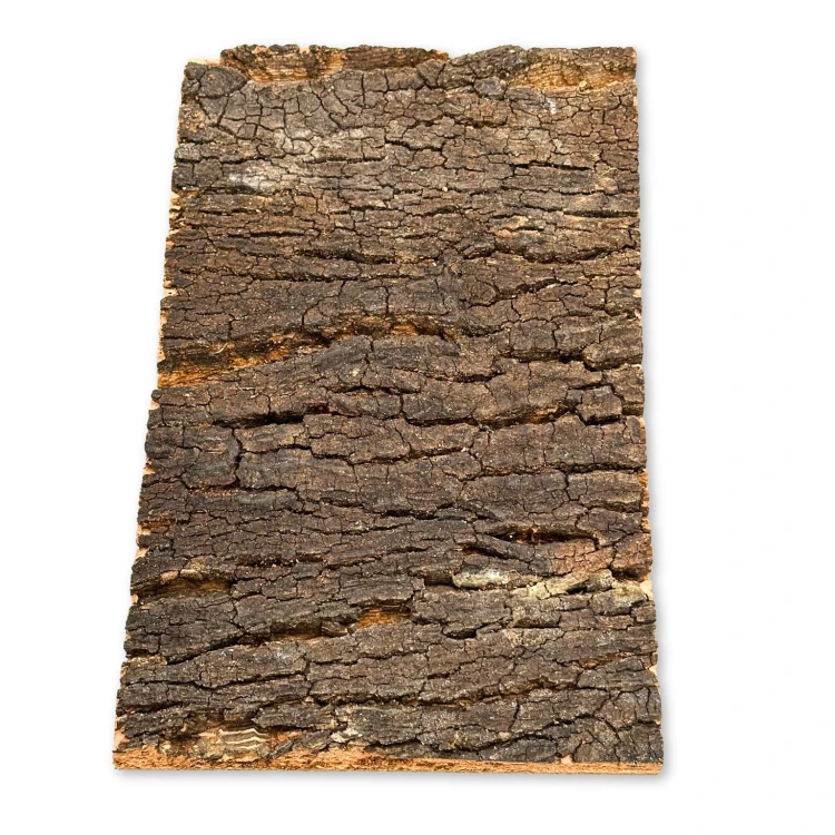 6f6853c9ebc1d2ab157d341956161f51