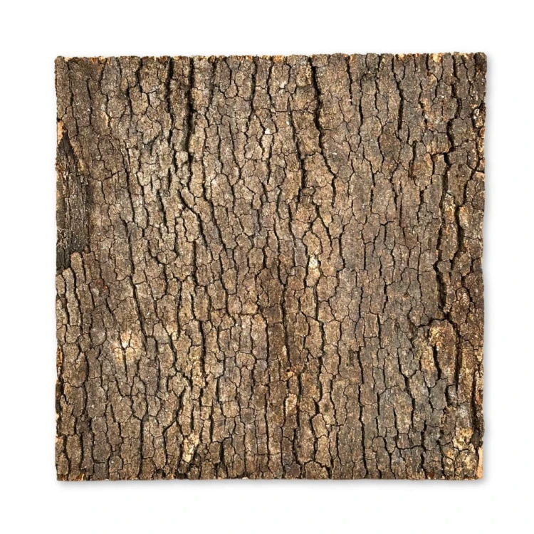 90844c99fcb048dfa58024956212bcf9