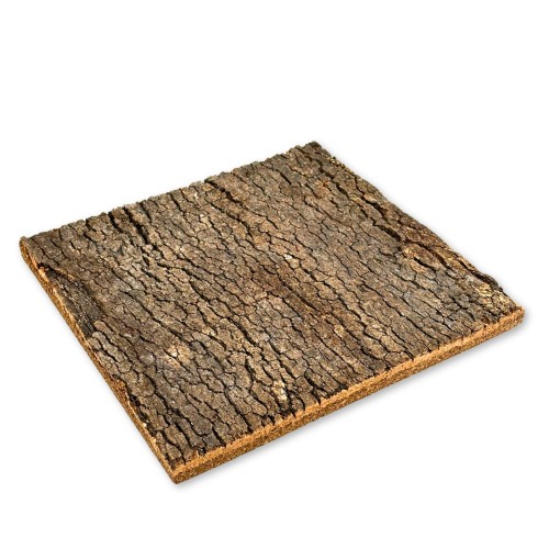 f188bca8f283996cc8d326ba54cae235