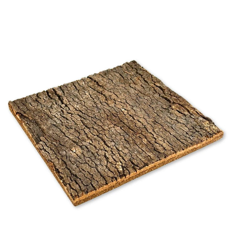 f188bca8f283996cc8d326ba54cae235