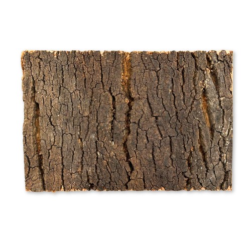 7a57a6d864f19f5de3674cc9af2a8265