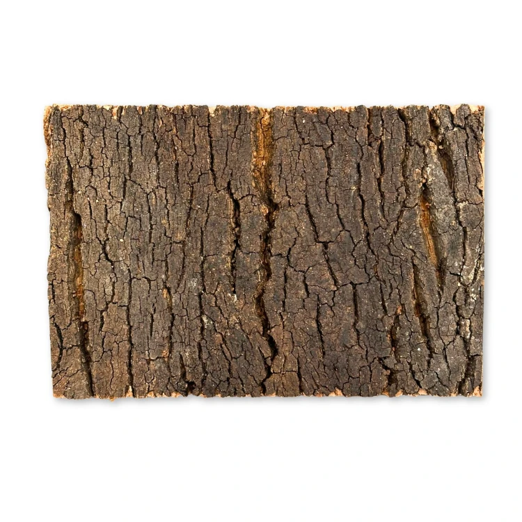 7a57a6d864f19f5de3674cc9af2a8265