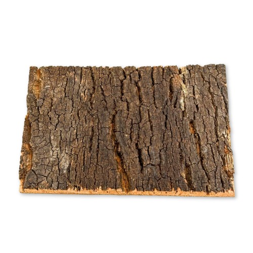 d1dd7edd6acd20c567e53f3fbe45fa0d