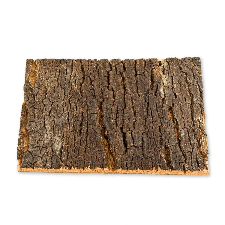 d1dd7edd6acd20c567e53f3fbe45fa0d