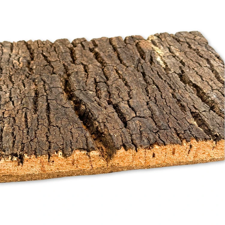 6ad5fe8913fd793653a2e224f4baa9da