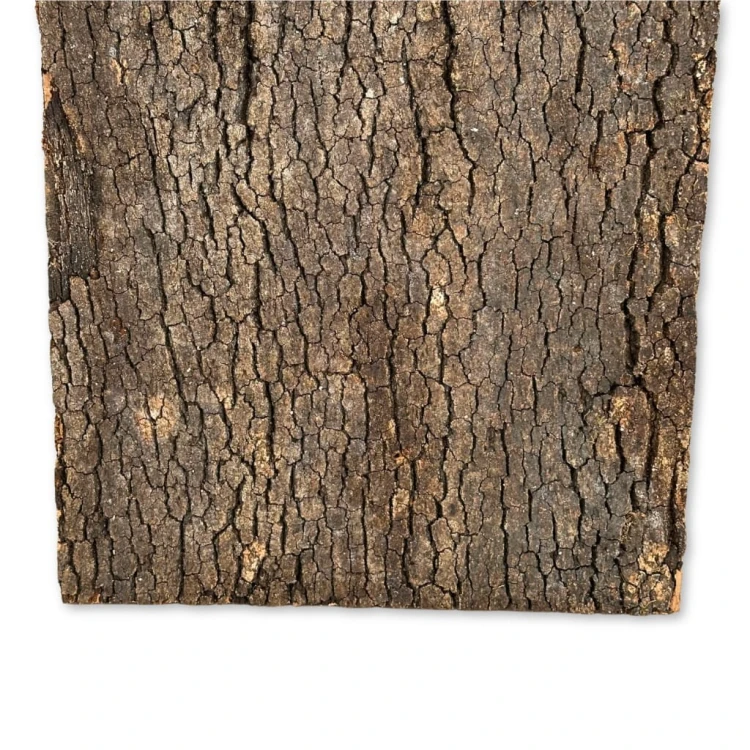 1bf8ad78511c46b22d718f8c740317cc