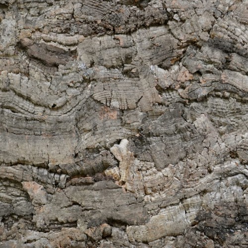 80772e6012c0e02671f41ecdc5a0dd9a