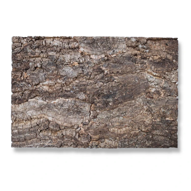 9dc7fee3fdaf77a9839b8ac908e0999a