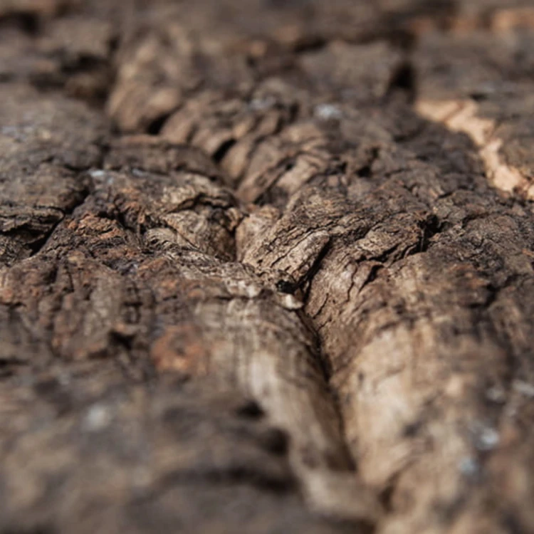 d4f483d18a8d894d1b31bd8387f60584