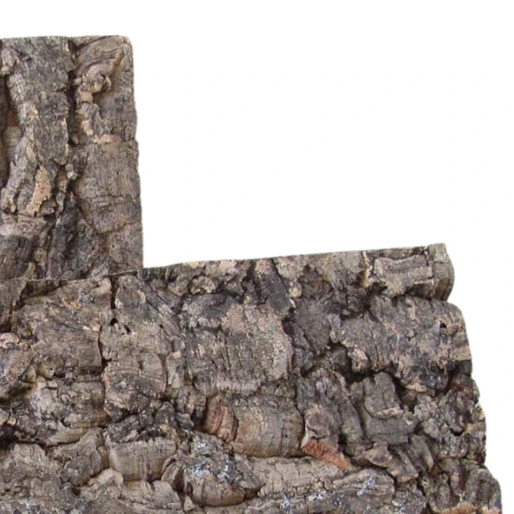 3403451cd2a3ab2496bb6d26abd9e0bc