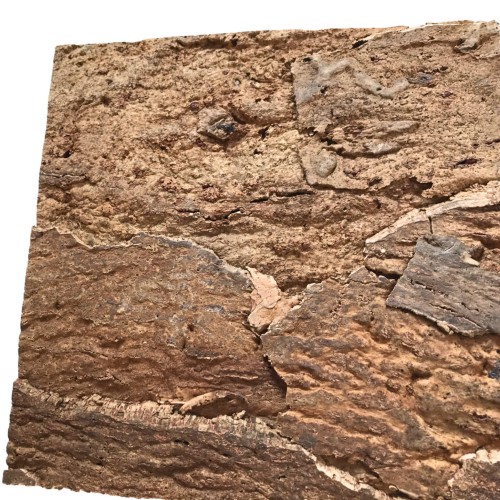 d5e308903cf1c956b64b3460433ea0cb