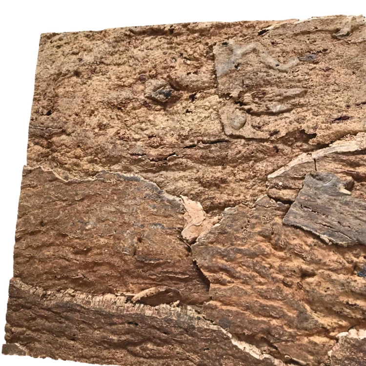 d5e308903cf1c956b64b3460433ea0cb