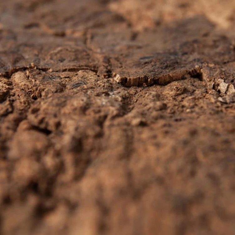 738cca8e636c05765b66f139073922bd