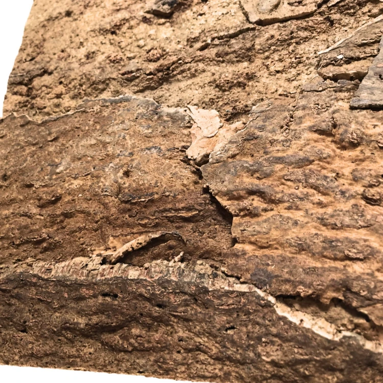 465a7ce4fa4f47df1e57e3fa1c7dfca9