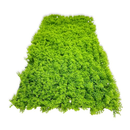 d7ccf258a15fd092cf3076d69d341b06