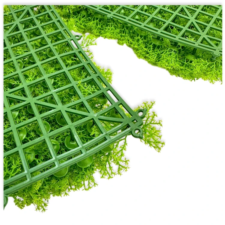 3ff93ac76a49436a8cd6d55c3cdfcef5