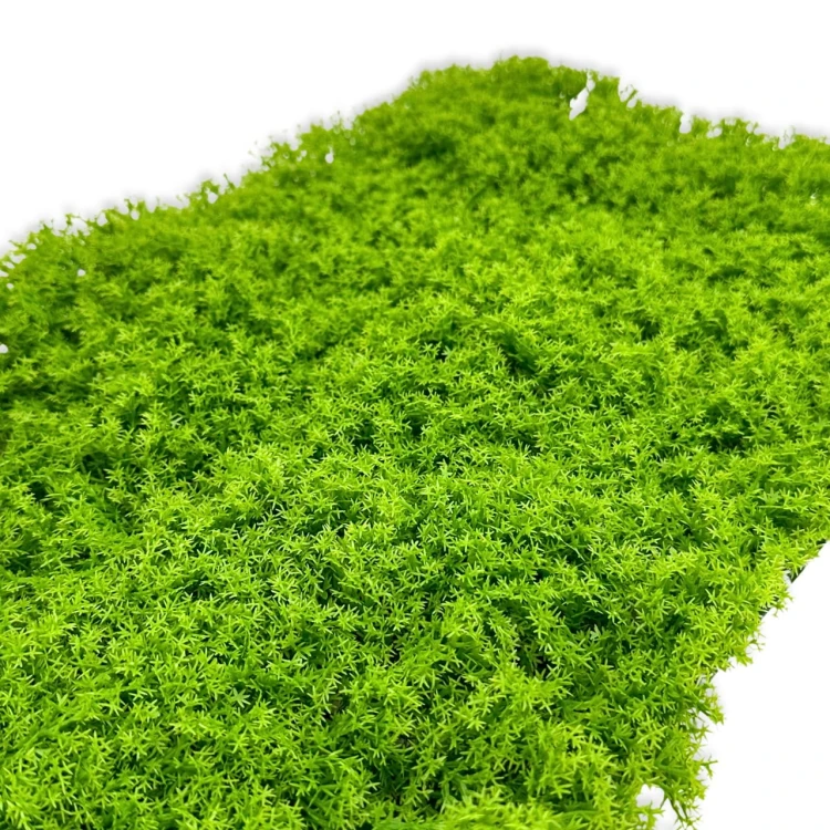 e6144802feac98ec259ecc5a838934ba