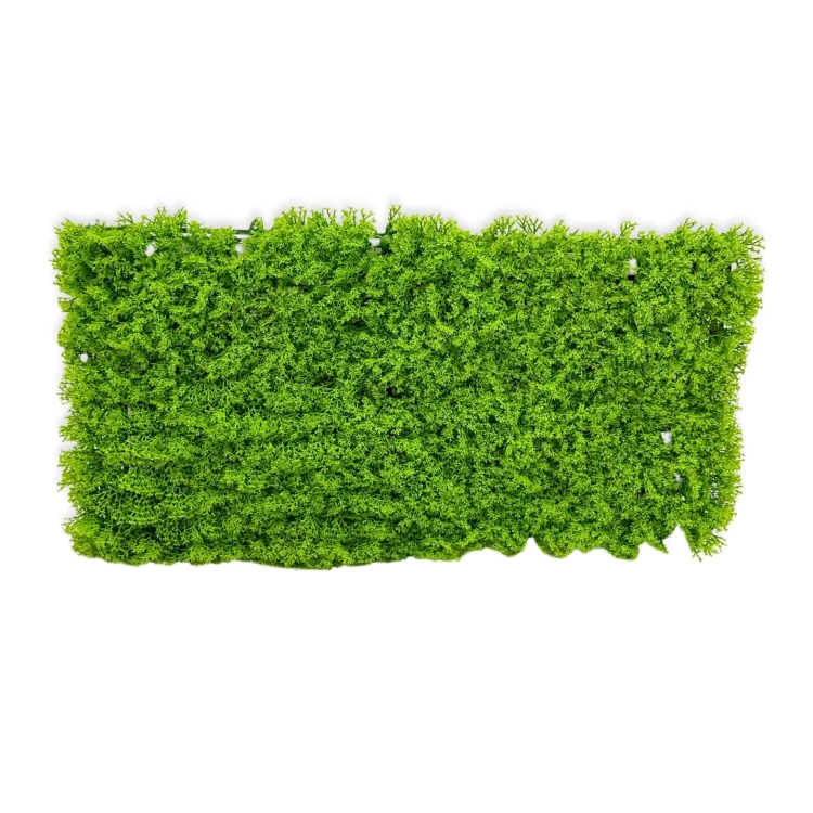 645a6f129e3a62fba23c2df311034376