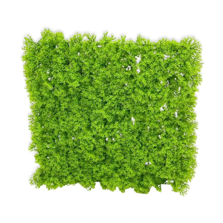 e27efdad48125f8dff0b8599b156389c