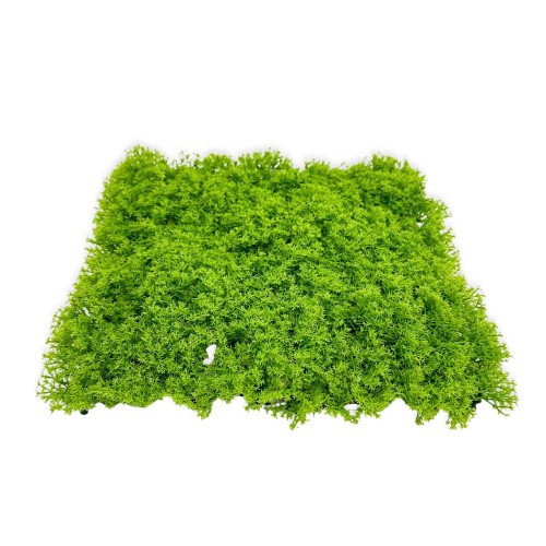 55f1d572c1a6ab2b436114062078c732