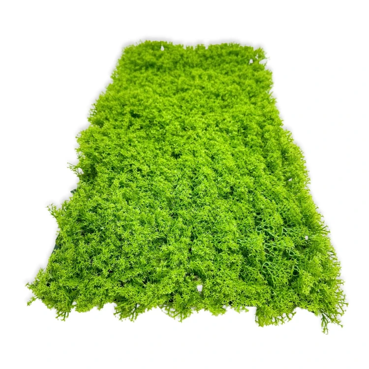 5f35112802dca8776a67c40e2c49fc84