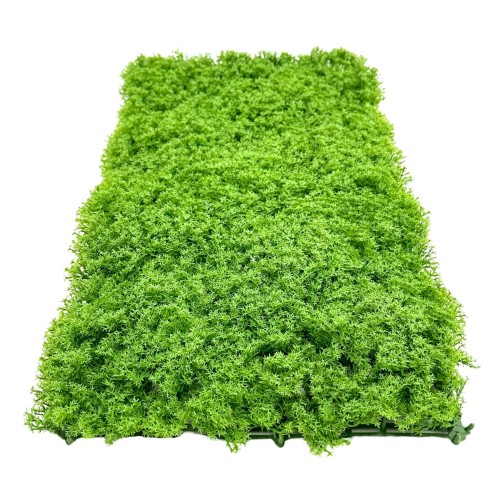 df6501e13e5c0bc7fdca48257321950a