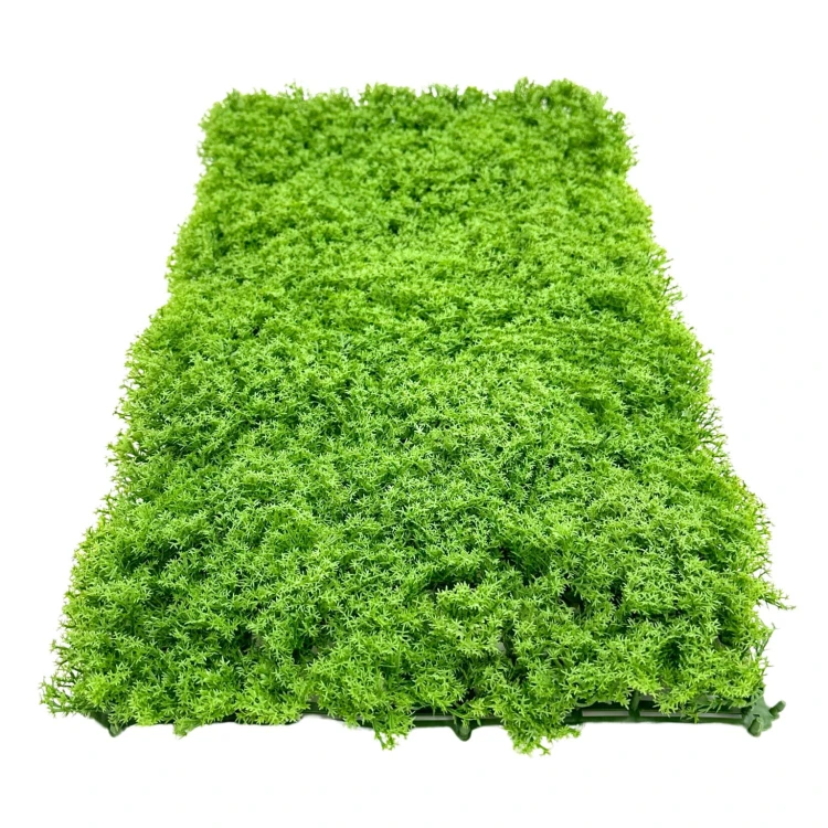 df6501e13e5c0bc7fdca48257321950a