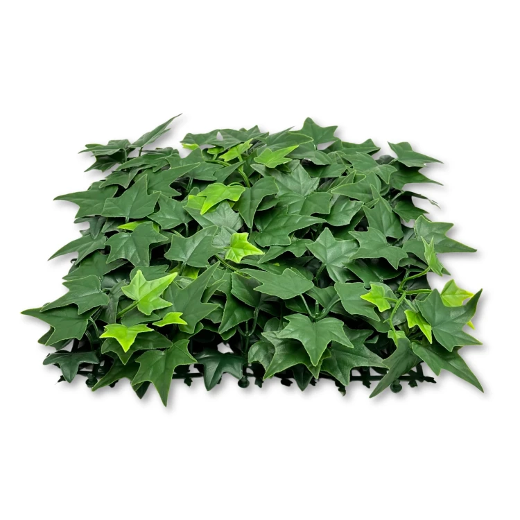 2ccfd15874d5ef502e18b6aad5ca5b51