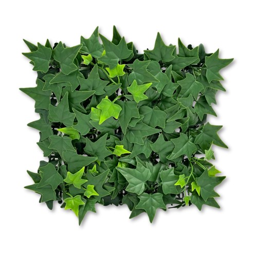 093aed37bb409cc460b56f464825ac08