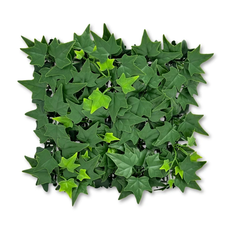 093aed37bb409cc460b56f464825ac08