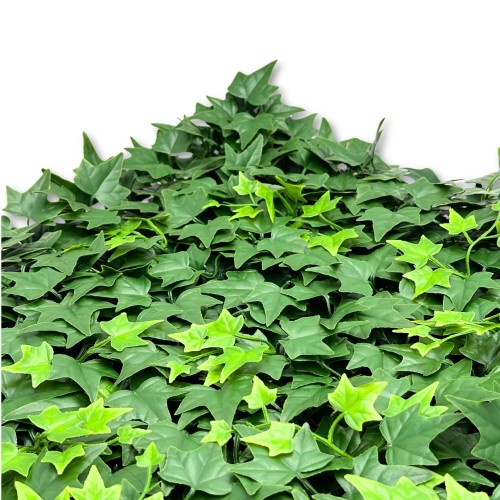 862bfd6f097edd837e9af37a9103d0f3