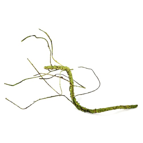 80bb146857962a2e5f92bd3821e59613