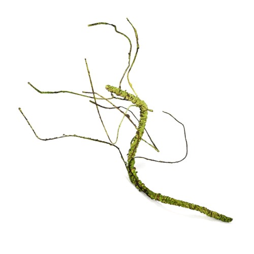 6664c80bc7fdbce37d5ed110783874bd