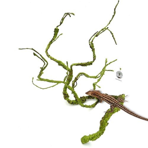 7bd0b40f42b2f236f064d2e9ce60cfd0