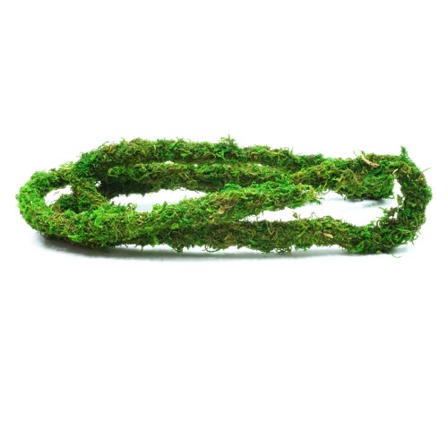 dbcc7fd29675f62131f6889c26f4f023