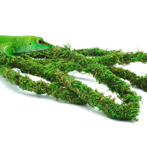 f48d876766fc5cba91798068454459ef